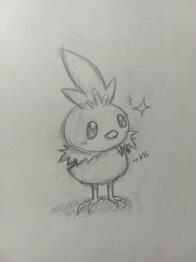 Torchic Sketch